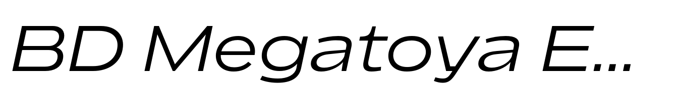 BD Megatoya Extended Italic